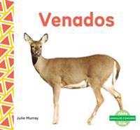 Venados (Deer )