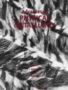 Advances in Physical Metallurgy