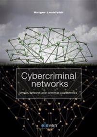 Cybercriminal Networks