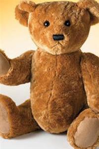Journal: Teddy Bear