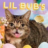 Lil Bub's One-of-A-Kind 2018 Calendar