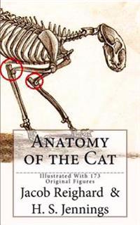 Anatomy of the Cat: [Illustrated with 173 Original Figures]