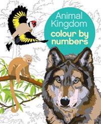 Colour by Numbers: Animal Kingdom