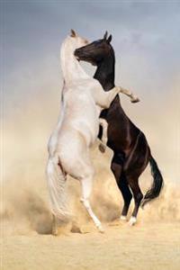 Akhal-Teke Horse Fight Journal: 150 Page Lined Notebook/Diary