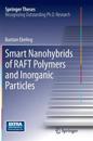 Smart Nanohybrids of RAFT Polymers and Inorganic Particles