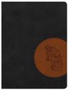 CSB Apologetics Study Bible for Students, Black/Tan LeatherTouch, Indexed