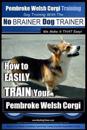 Pembroke Welsh Corgi Training Dog Training with the No BRAINER Dog TRAINER We make it THAT Easy!: How to EASILY TRAIN Your Pembroke Welsh Cogri
