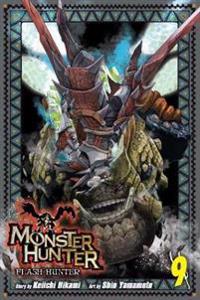 Monster Hunter Flash Hunter 9