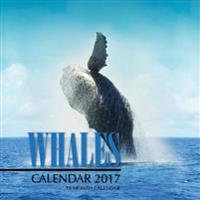 Whales Calendar 2017: 16 Month Calendar