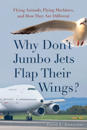 Why Don't Jumbo Jets Flap Their Wings?