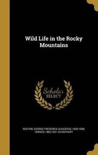 WILD LIFE IN THE ROCKY MOUNTAI