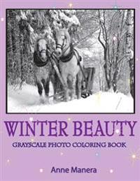 Winter Beauty Grayscale Photo Coloring Book