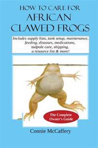How to Care for African Clawed Frogs