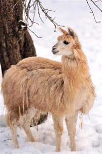 An Alpaca in the Snow Journal: 150 Page Lined Notebook/Diary