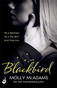 Blackbird: a Redemption Novel