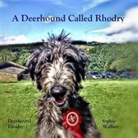 A Deerhound Called Rhodry