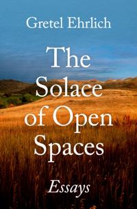 Solace of Open Spaces