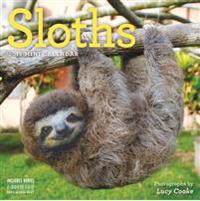 Sloths 2018 Calendar