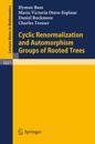 Cyclic Renormalization and Automorphism Groups of Rooted Trees