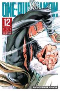 One-punch Man 12