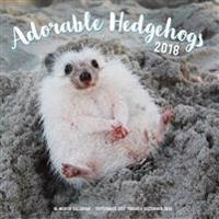 Adorable Hedgehogs 2018 Calendar