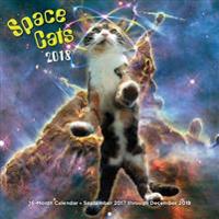 Space Cats 2018 Calendar