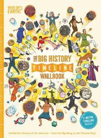 Big history timeline wallbook: unfold the history of the universe - from th