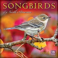Songbirds of North America 2018 Wall Calendar