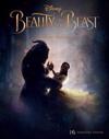 Beauty and the Beast: The Poster Collection: 16 Removable Posters