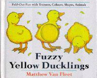 Fuzzy Yellow Ducklings
