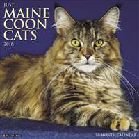 Just Maine Coon Cats 2018 Calendar