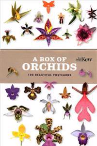 A Box of Orchids