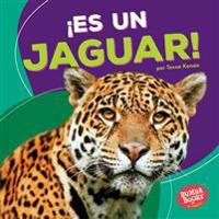 Es Un Jaguar! (It's a Jaguar!)
