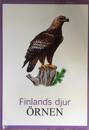 Örnen Finlands djur