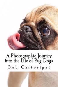 A Photographic Journey Into the Life of Pug Dogs