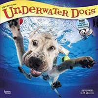 2018 Underwater Dogs Wall Calendar