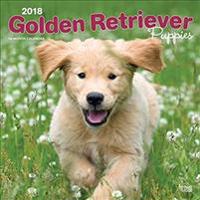 2018 Golden Retriever Puppies Wall Calendar