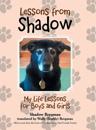 Lessons from Shadow