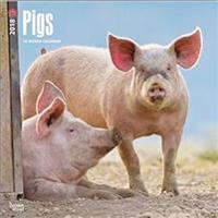 2018 Pigs Wall Calendar