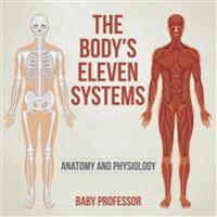 The Body's Eleven Systems | Anatomy and Physiology
