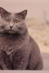 Captivating Chartreux Cat Pet Journal: 150 Page Lined Notebook/Diary