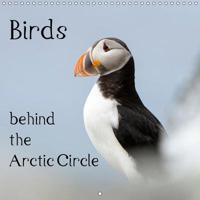 Birds Behind the Arctic Circle 2018