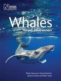 Whales - their past, present and future
