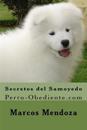 Secretos del Samoyedo: Perro-Obediente.com