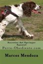 Secretos del Springer Spaniel: Perro-Obediente.com
