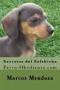 Secretos del Salchicha: Perro-Obediente.com