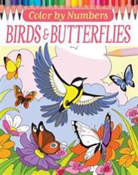 Color by Numbers: Birds and Butterflies