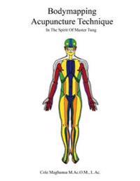 Bodymapping Acupuncture Technique: In the Spirit of Master Tung