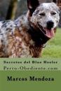 Secretos del Blue Heeler: Perro-Obediente.com