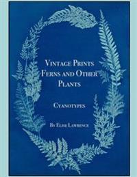 Vintage Prints: Ferns and Other Plants: Cyanotypes
